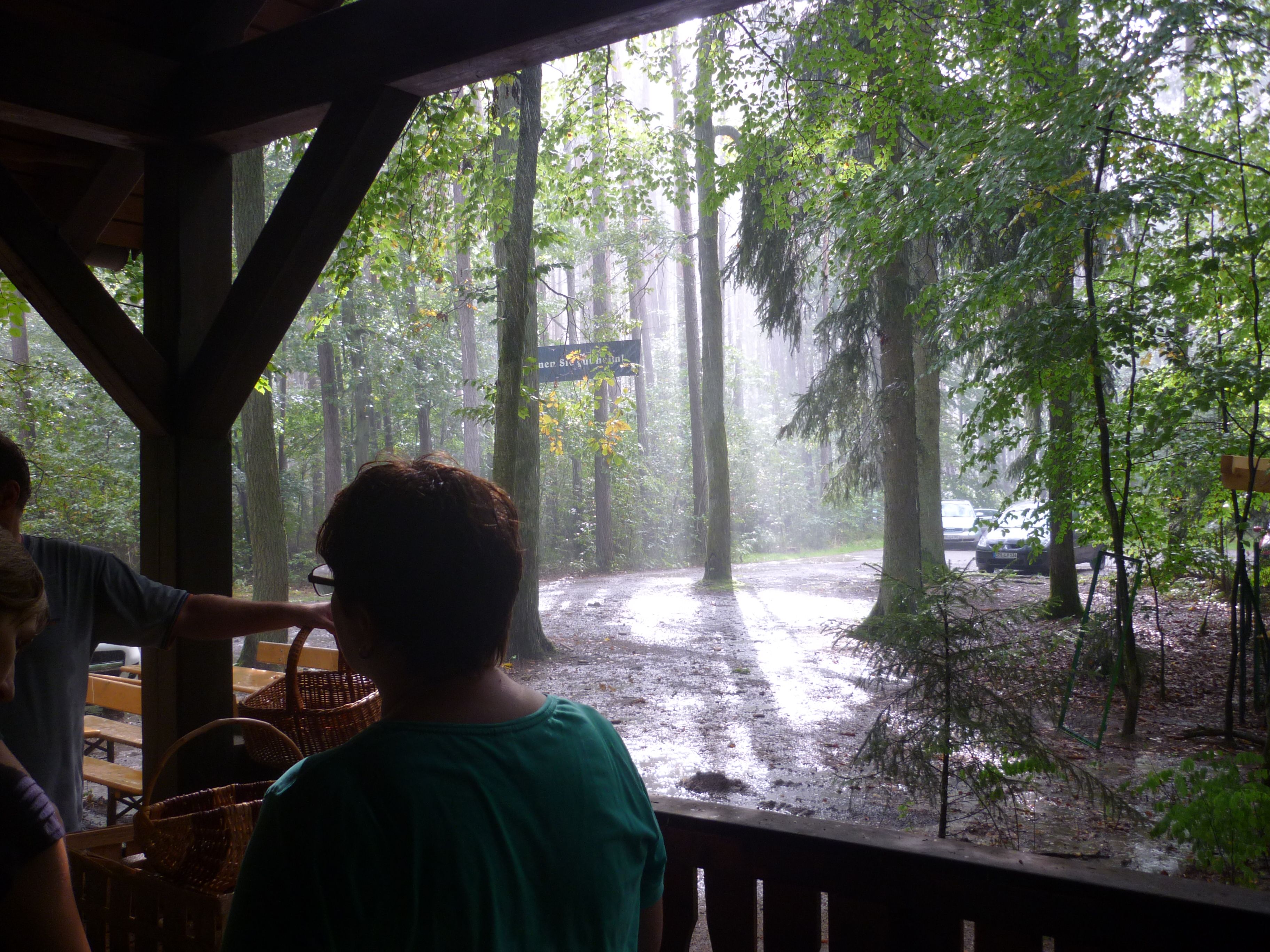 Und dann ist es mit einem Schlag aus. Es regnet in Strömen. Kaum jemand ist darauf eingestellt, da zuvor herrliches Pilz-Sammel-Wetter war. Und dann ist es mit einem Schlag aus. Es regnet in Strömen. Kaum jemand ist darauf eingestellt, da zuvor herrliches Pilz-Sammel-Wetter war.
