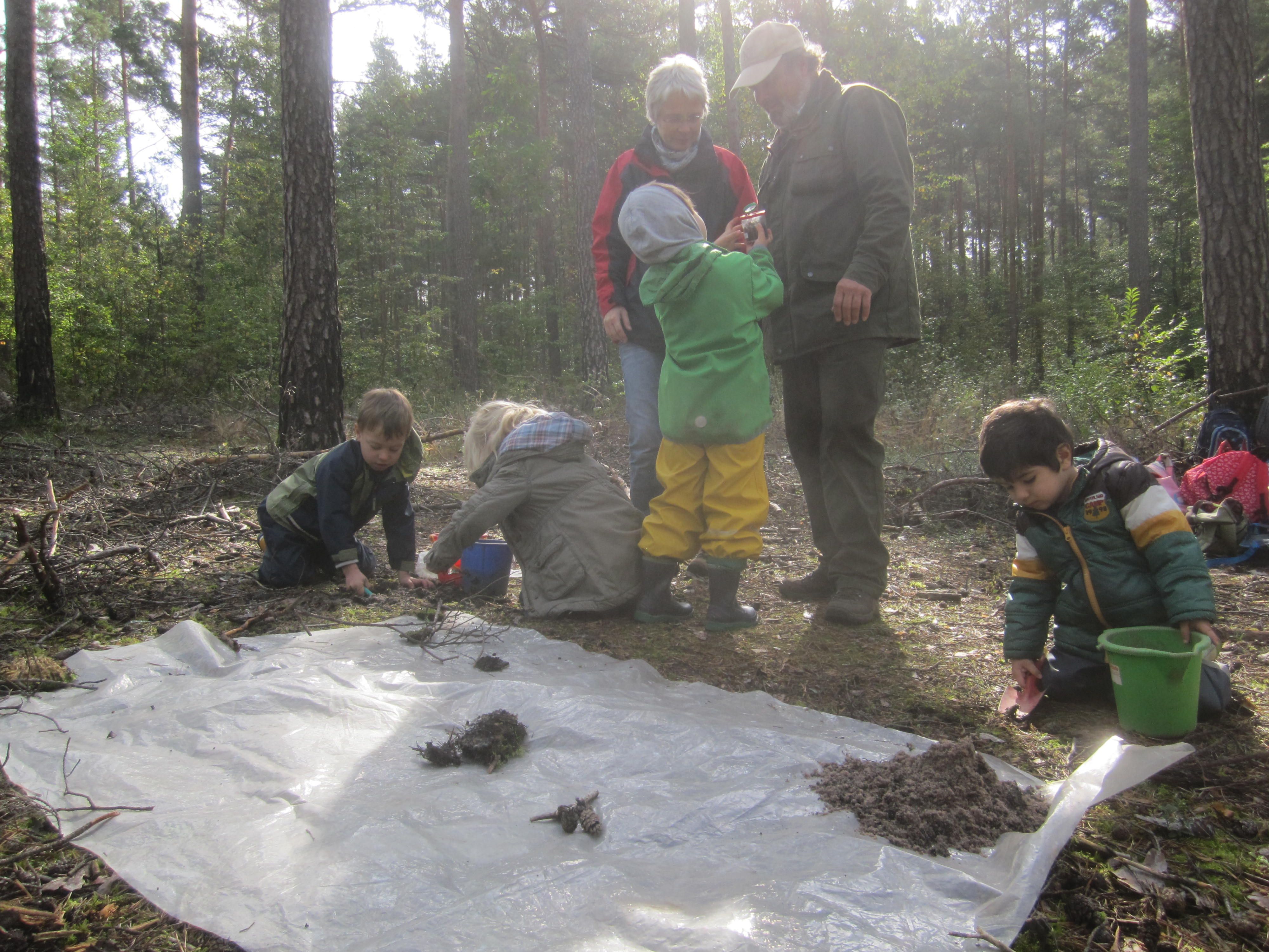 Unterschiedliche Böden wurden gesammelt und auf einer Plane zur Analyse ausgebreitet. Unterschiedliche Böden wurden gesammelt und auf einer Plane zur Analyse ausgebreitet.