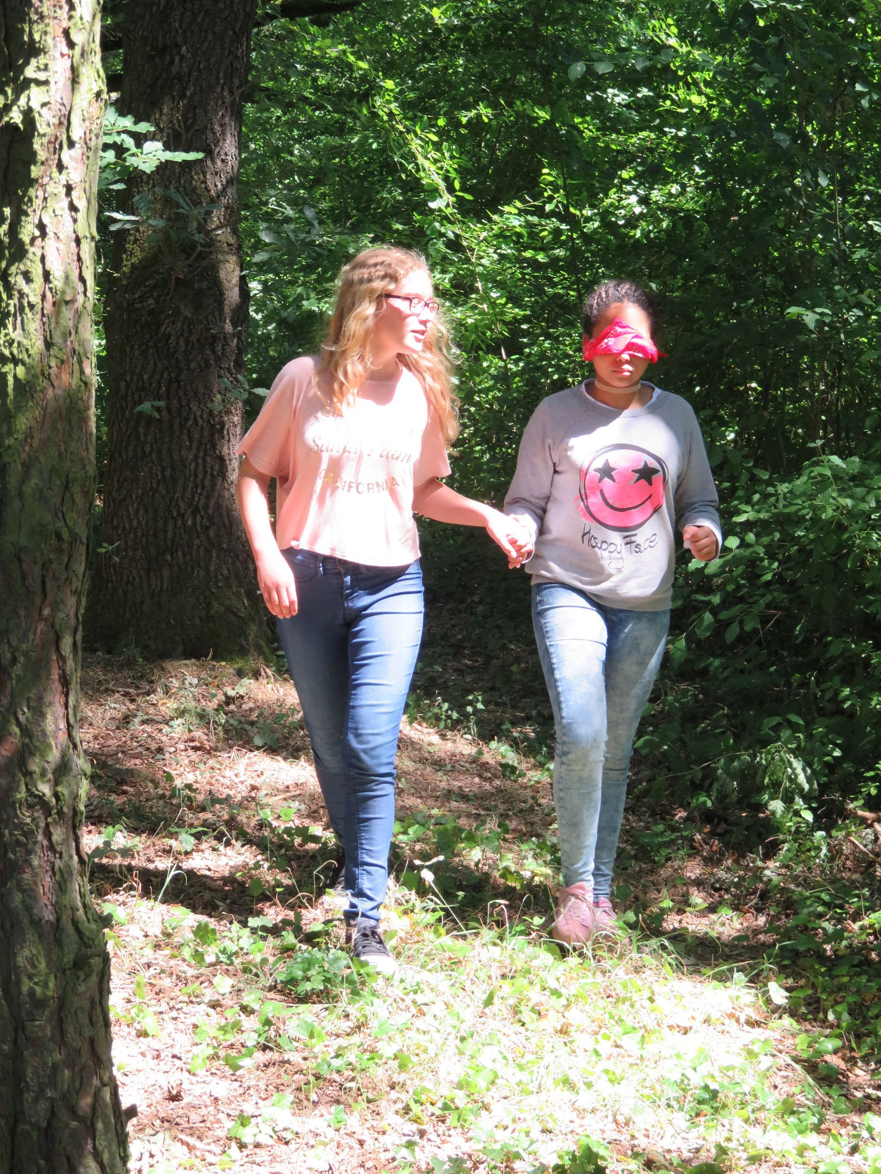 Blind führen Blind führen