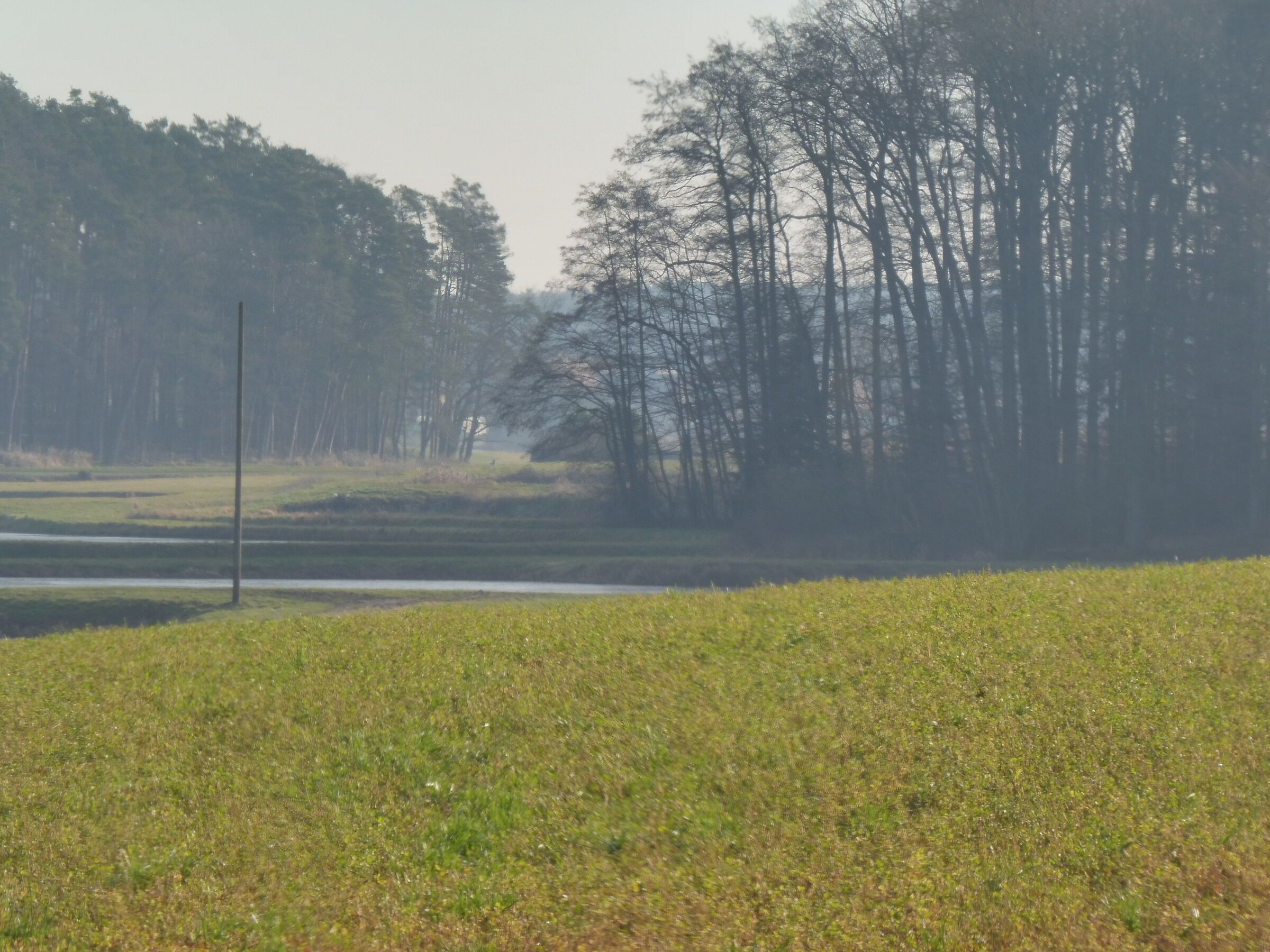 Weiherlandschaft bei Schwarzenbach