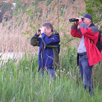 Vogelbeobachtung an den Neuhauser Weihern Vogelbeobachtung an den Neuhauser Weihern