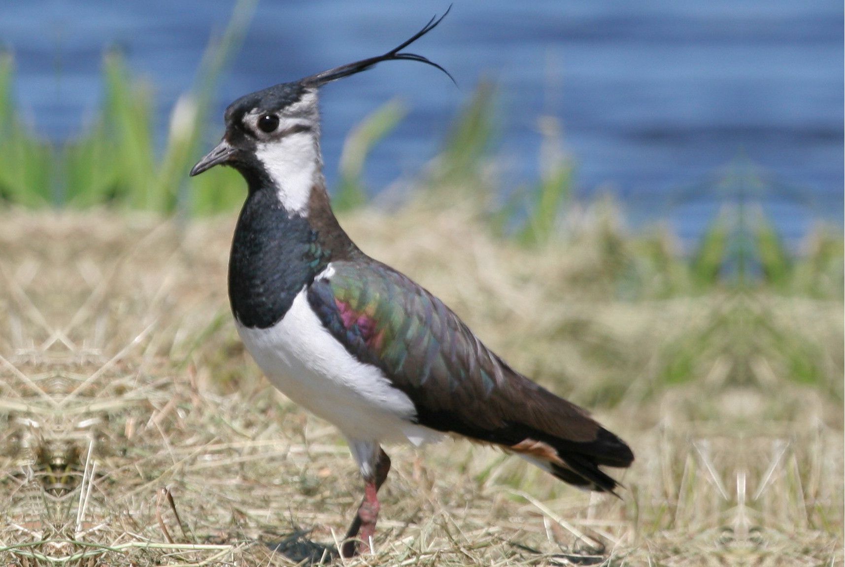 Petra Weller, Foto Weller Petra Weller, Foto Weller