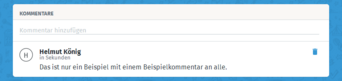 Im unteren Bereich kann noch ein Kommentar eingetragen werden, den alle lesen können, die diese Seite aufrufen. Diese wird mit Senden abgeschlossen. Danach können Sie DOODLE verlassen.