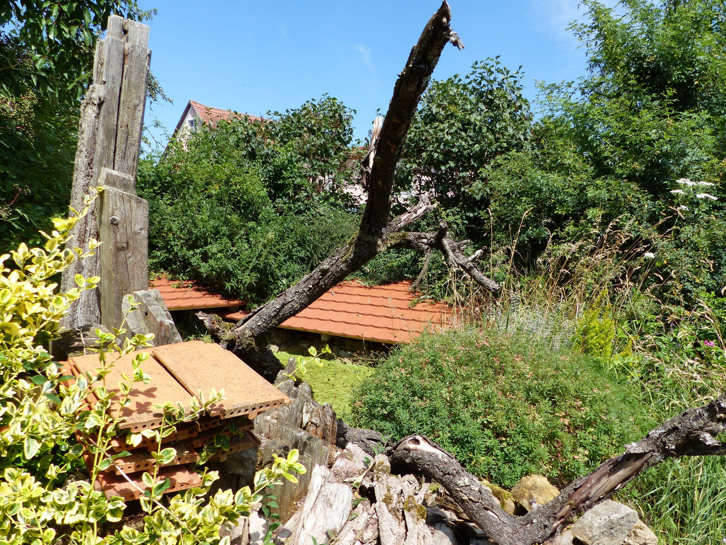 Vielfalt der Strukturen