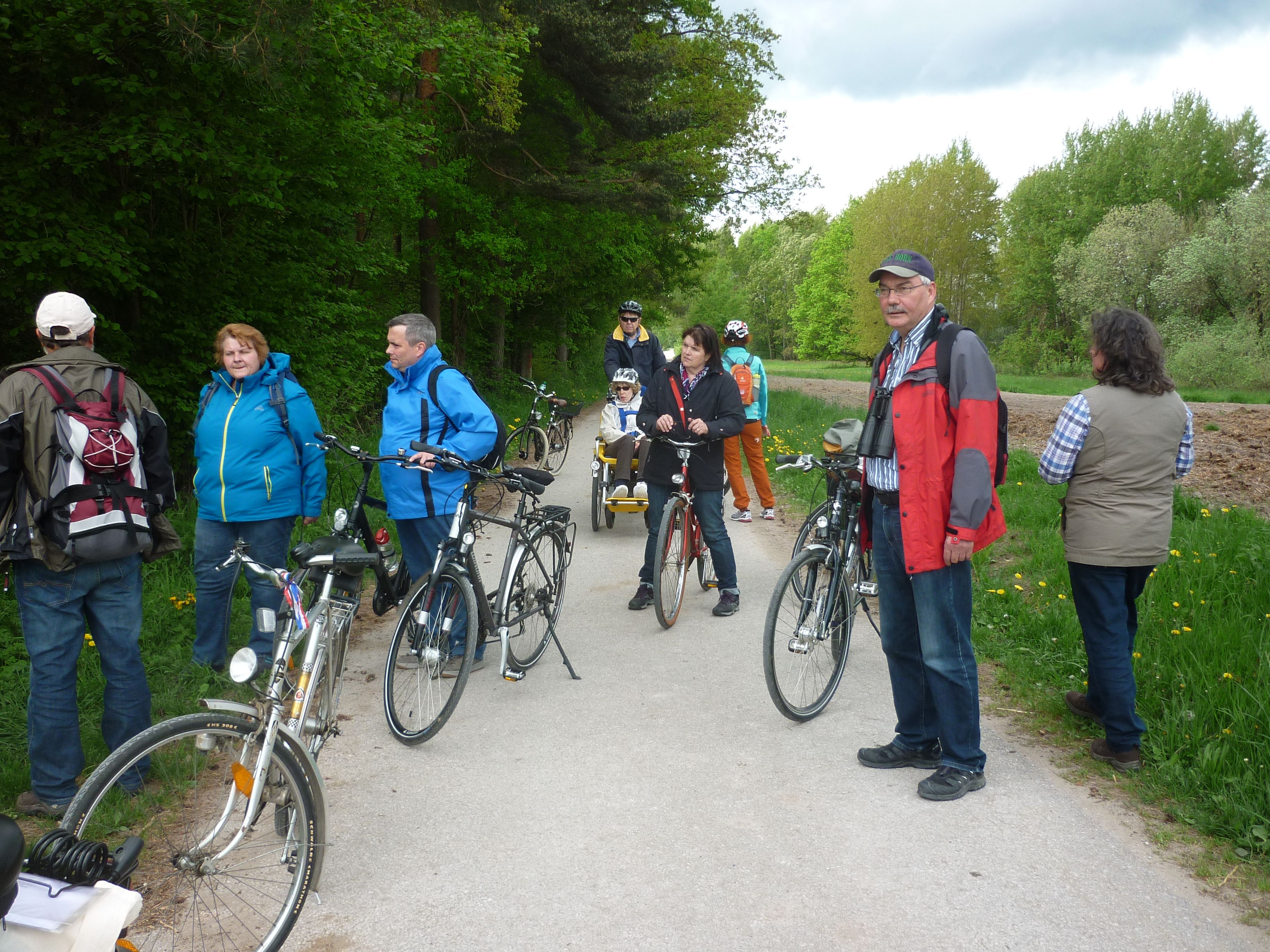 Bucher Wäldchen Bucher Wäldchen