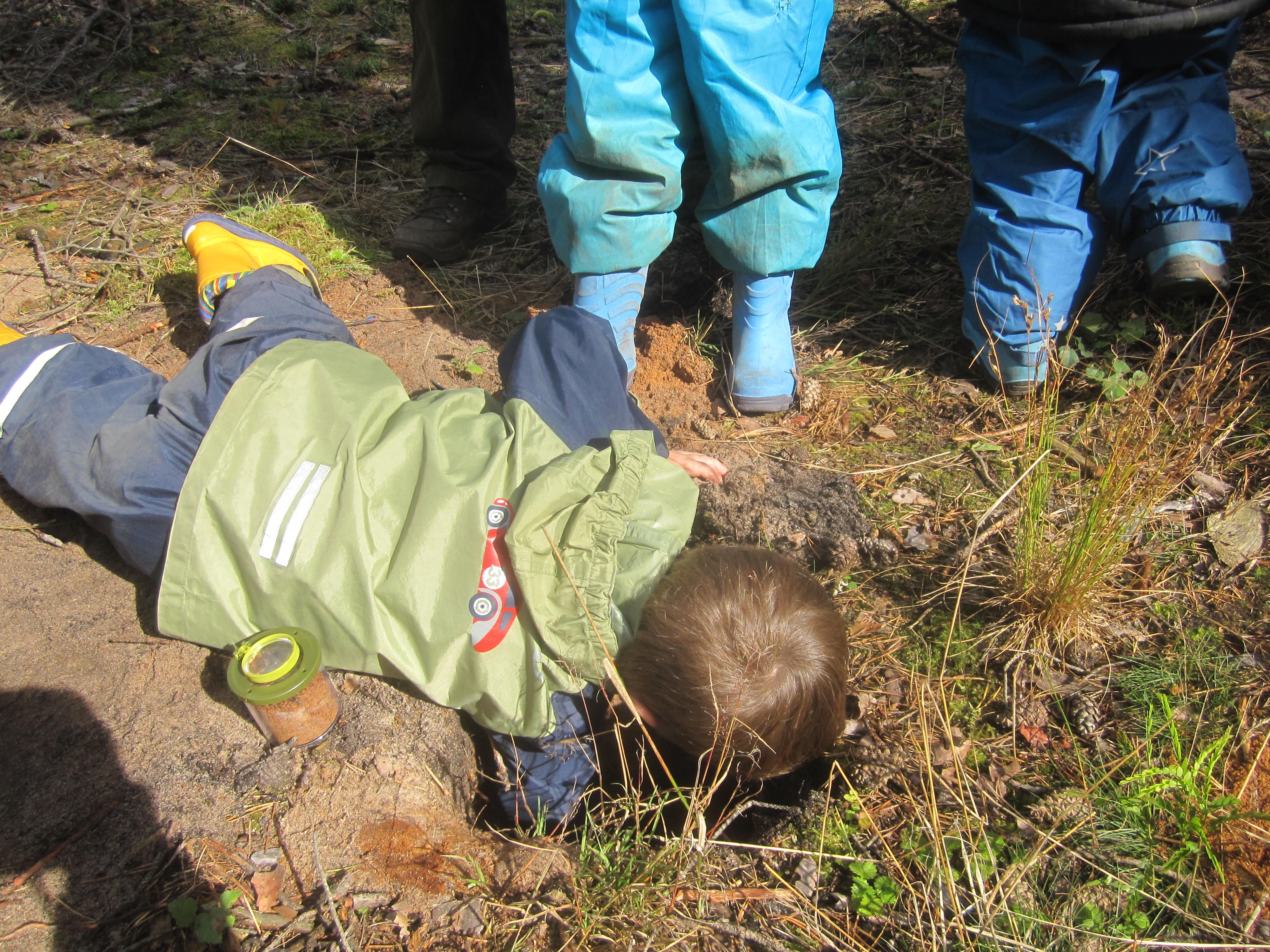 Um die Schichten zu sehen, wurde ein tiefes Loch gegraben. Ob's da noch weit bis Australien ist? Um die Schichten zu sehen, wurde ein tiefes Loch gegraben. Ob's da noch weit bis Australien ist?