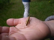 BN Kindergruppe 20110716 02