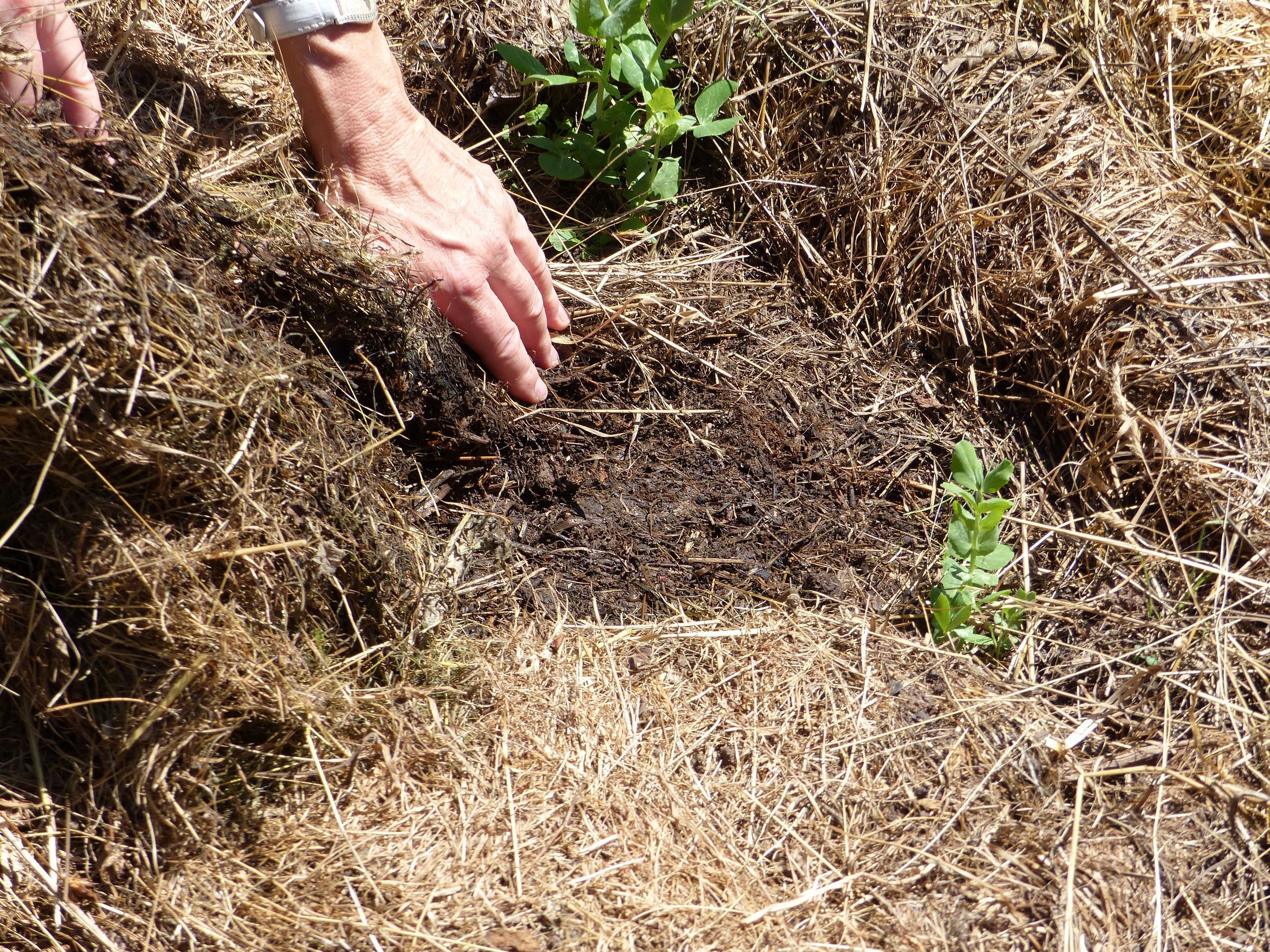 Nährstoffe für die Ertragszone