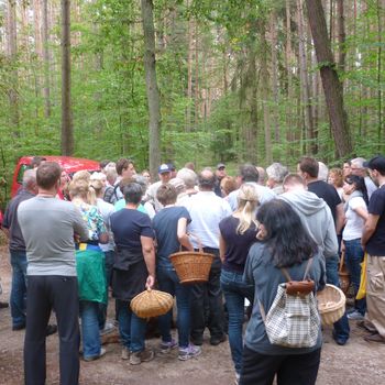 Eine Traube von Menschen um den Pilzfachmann Eine Traube von Menschen um den Pilzfachmann