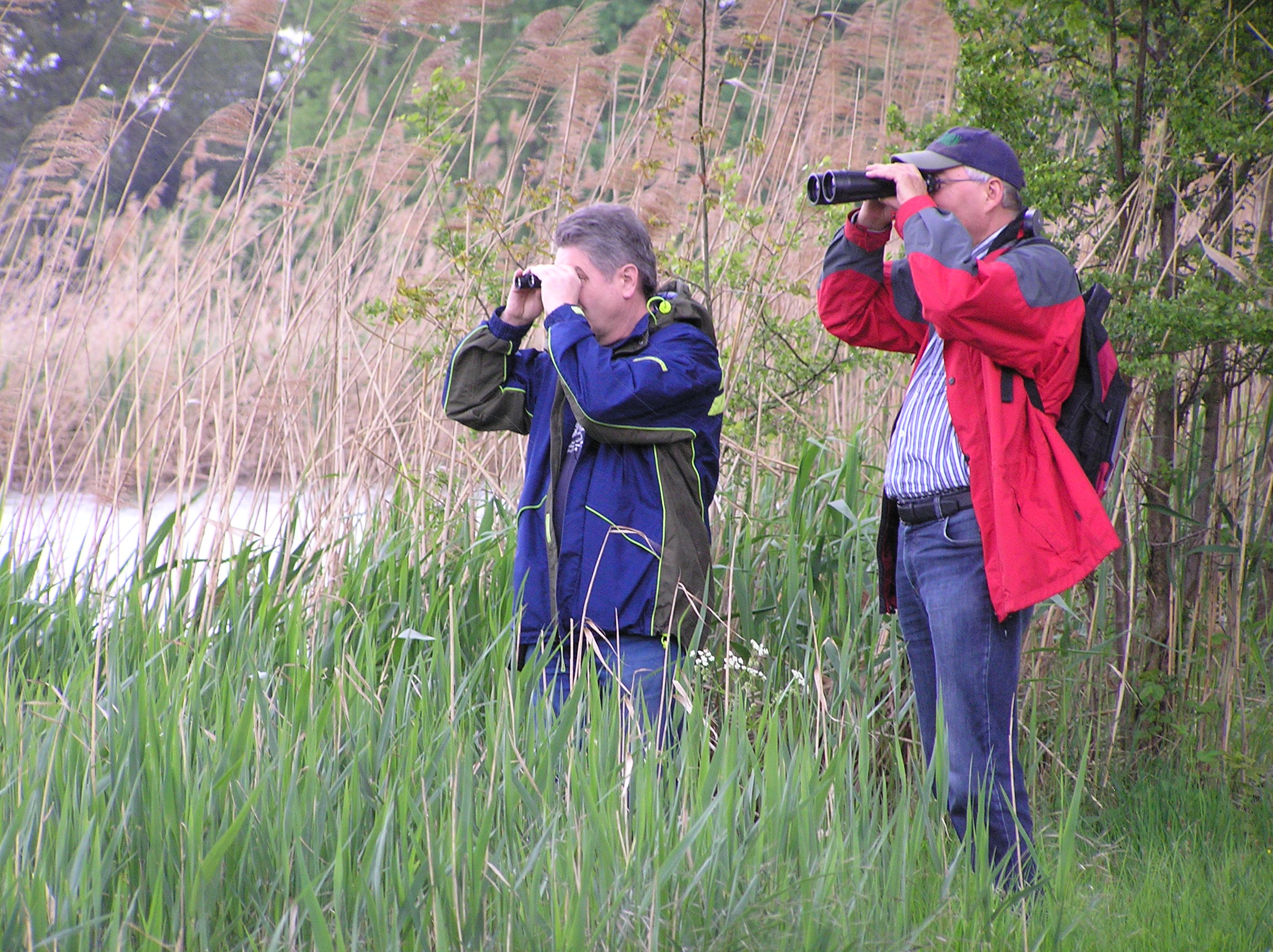 Vogelbeobachtung an den Neuhauser Weihern