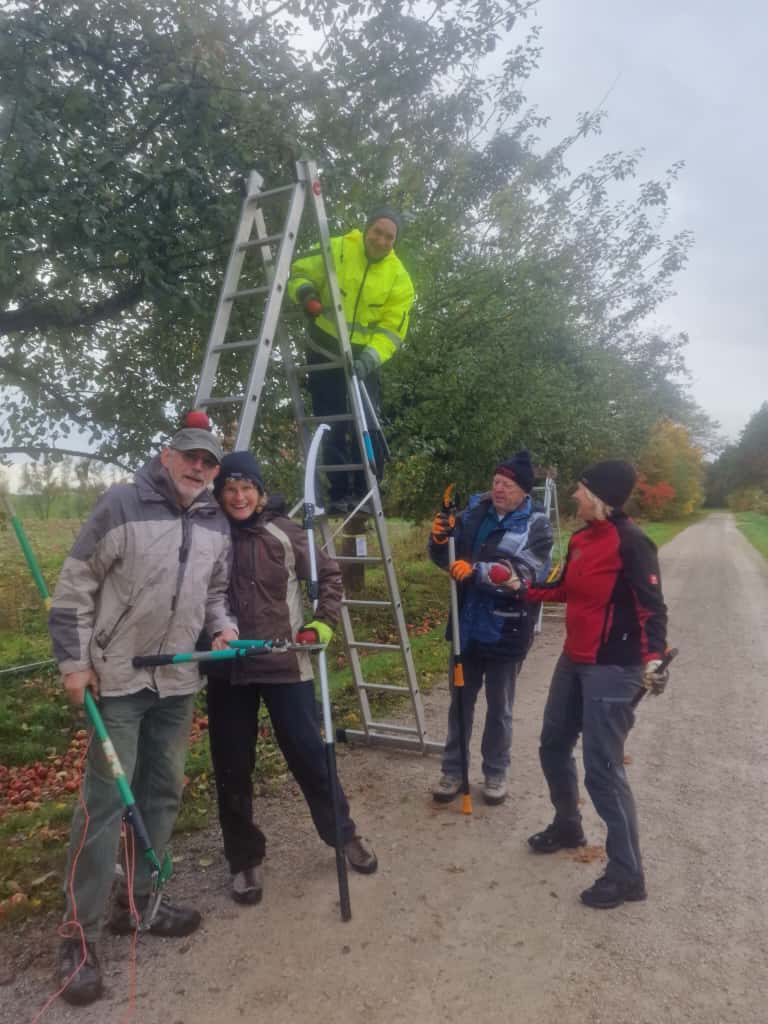 Obstbaumpflege Hemhofen